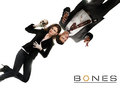 Booth and Bones - temperance-brennan photo