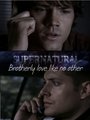 Brotherly Love - supernatural fan art