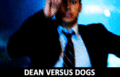 Dean vs. Dog - supernatural fan art
