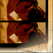 Edward and Bella- Love Night= Breaking Dawn - twilight-series icon