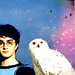 Harry Potter Icons - harry-potter icon