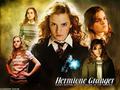 Hermione Wallpaper - hermione-granger photo