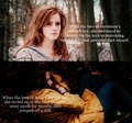 Hermione vs. Bella - harry-potter-vs-twilight fan art