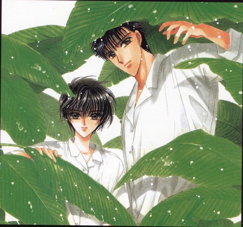 Kamui Shirou and Fuuma Monou (X/1999)