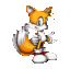 Tails In Sonic Advance 2 :D - miles-tails-prower icon
