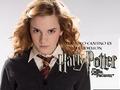 Wallpaper (Hermione) - hermione-granger photo