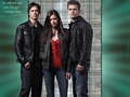 the-vampire-diaries-tv-show - where are our fangs? wallpaper