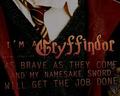 Gryffindor - hogwarts fan art