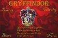 Gryffindor - hogwarts fan art
