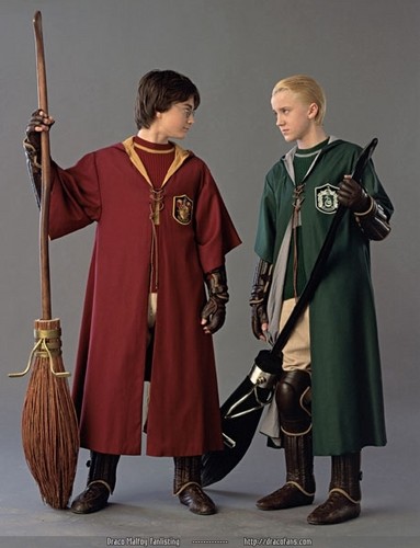  Harry and Draco - Harry Potter and the chamber of secrets