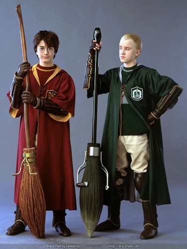 Harry and Draco - Harry Potter and the chamber of secrets