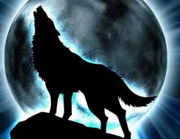  Moonwolf