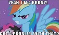 Rainbow Dash calls to the Bronies - my-little-pony-friendship-is-magic fan art