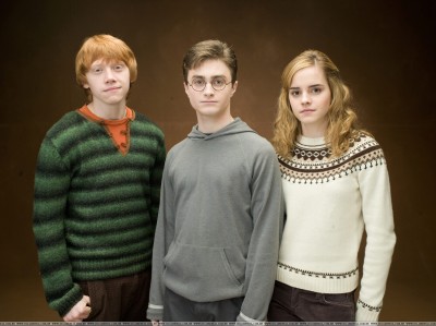 The trio - Harry Potter and the order of the pheonix
