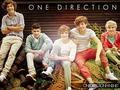 one-direction - ♫One Direction♫  wallpaper