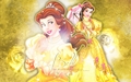 Walt Disney Wallpapers - Princess Belle - disney-princess wallpaper