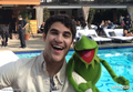 Darren Criss and Kermit - glee photo