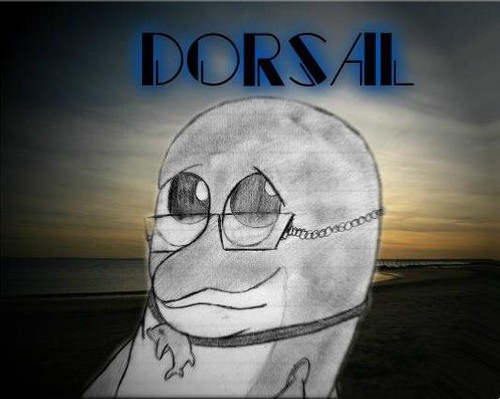  Dorsal