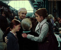 Dramione - draco-malfoy-and-hermione-granger photo