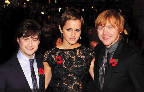 Harry Potter and the deathly hallows part 1 and 2 premiere's
