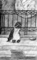 Kowalski Malkowicz - penguins-of-madagascar fan art