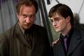 Lupin and Harry at Bill and Fleur's wedding - harry-potter photo