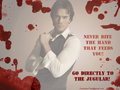 the-vampire-diaries-tv-show - Never bite the hand that feeds you wallpaper