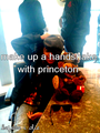 Princeton :) - princeton-mindless-behavior photo