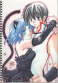 Ranma and Akane (ranma 1/2) - anime-couples fan art