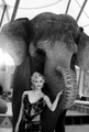 Reese Witherspoon as Marlena - water-for-elephants photo