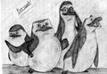 The Penguin Crew - penguins-of-madagascar fan art