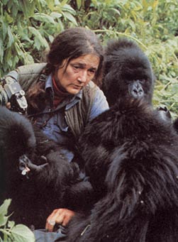  Dian Fossey January 16, 1932– December 27, 1985