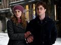 Harry and Hermione - hermione-granger photo