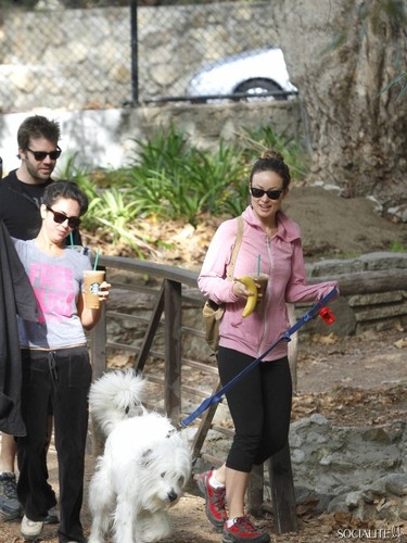  Olivia Wilde Hikes WIth বন্ধু At Griffith Park