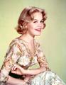 Sandra Dee (April 23, 1942 – February 20, 2005 - celebrities-who-died-young photo