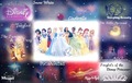 Symbols of the Disney Princesses - disney-princess photo