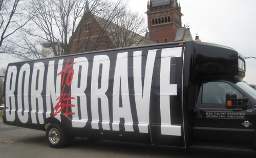  The Born Храбрая сердцем Bus at Harvard