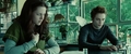 harry-potter-vs-twilight - Twilight screencap