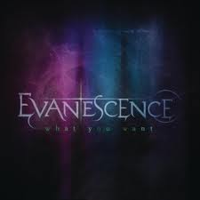  cover of new evanscence cd