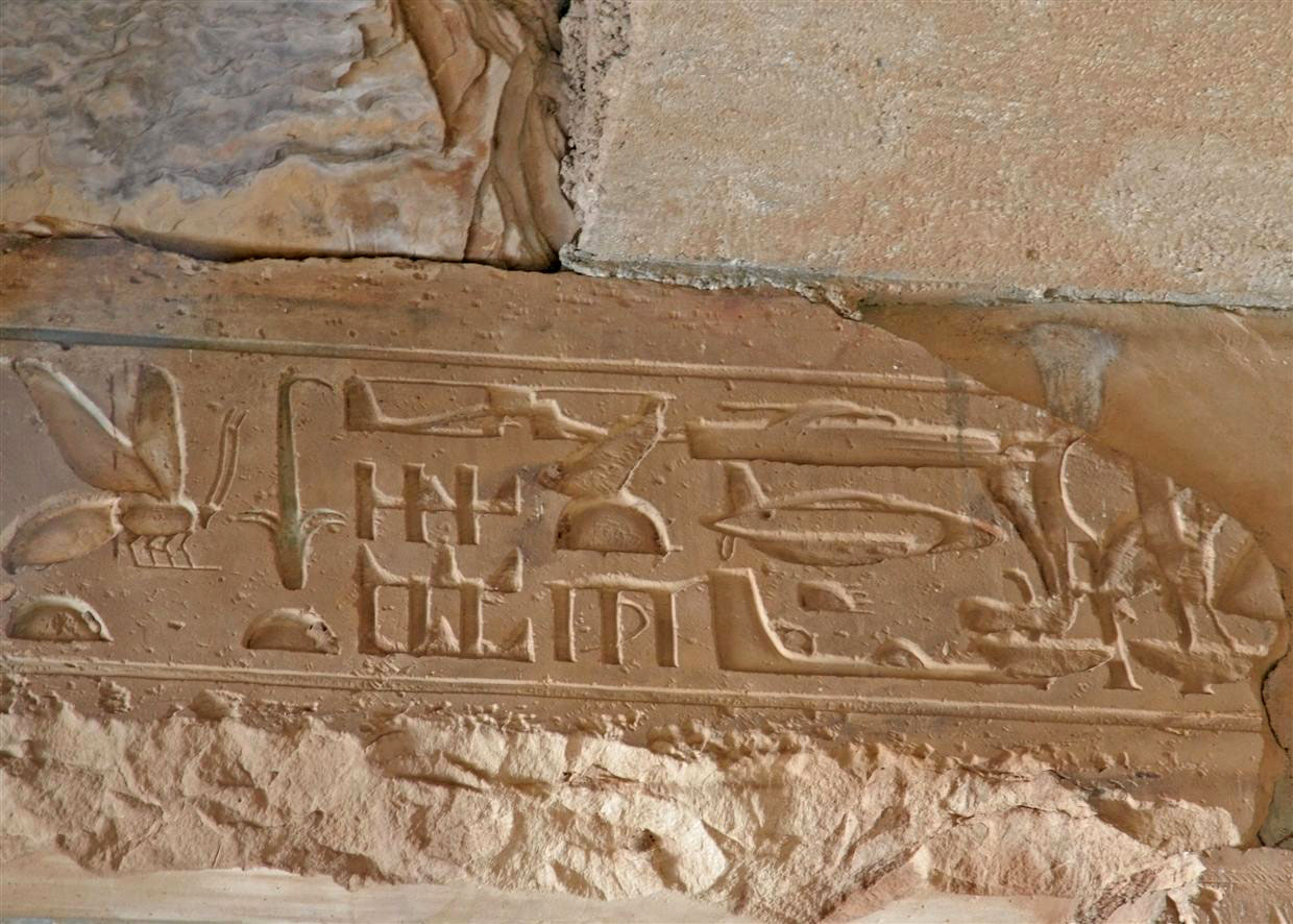 Ancient Egyptian Alien Hieroglyphics