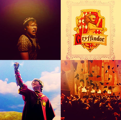  “You might belong in Gryffindor,where dwell the Valiente at corazón