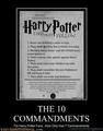 Epic Harry Potter Pics - harry-potter photo
