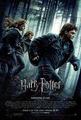 Harry Potter Movie Posters - harry-potter photo