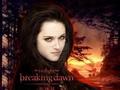 New Breaking Dawn Bella - twilight-series photo