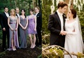 The Cullens - twilight-series fan art