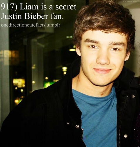 1D facts for 당신 ! :) x