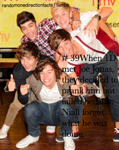  1D's Facts♥