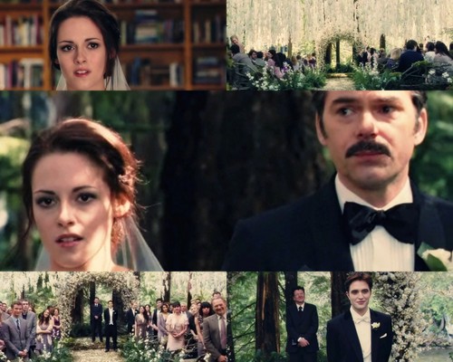  Bella & Edward Wedding