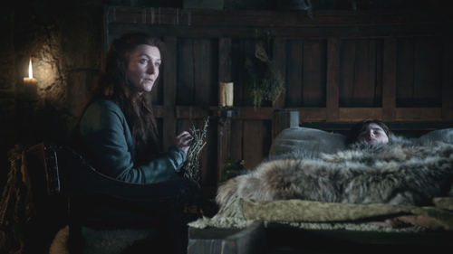  Catelyn and Bran