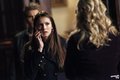 Episode 3.18 - The Murder of One - Promotional Photos - the-vampire-diaries-tv-show photo